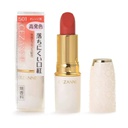 Son môi Cezanne Lasting Lip Color N thỏi 3.9g (3 màu)