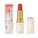 Son môi Cezanne Lasting Lip Color N thỏi 3.9g (4 màu)