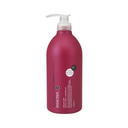 Dầu gội phục hồi tóc hư tổn Salonlink hương hoa trà 1000ml