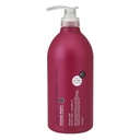 Dầu gội phục hồi tóc hư tổn chiết xuất hoa trà Salon link amino 1000ml